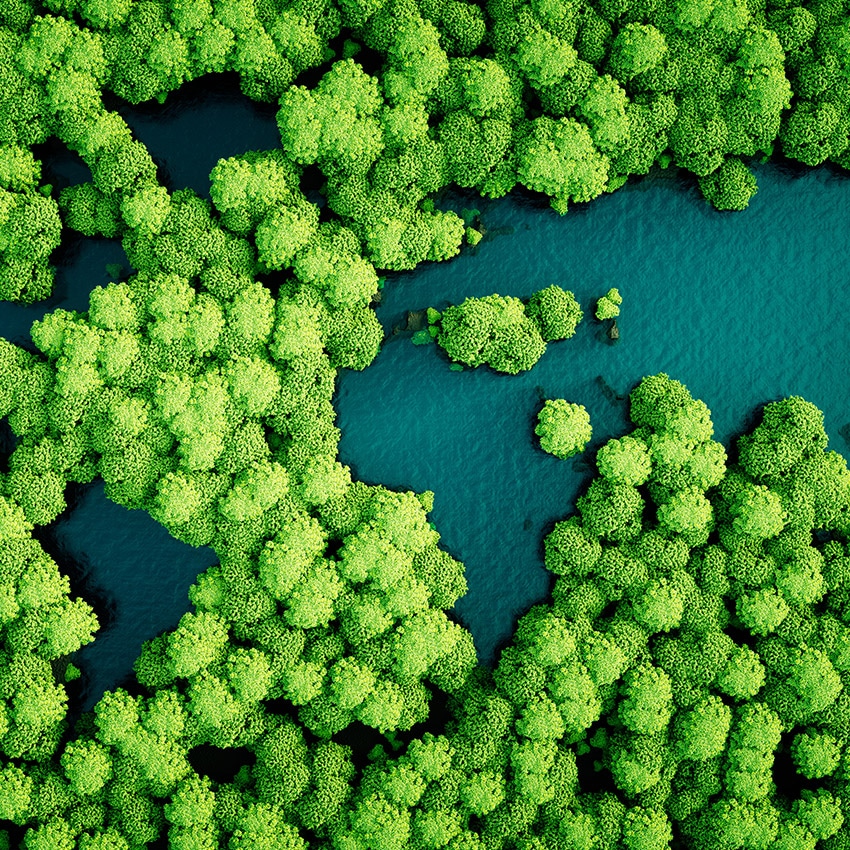 Spécialisation dans l'environnement