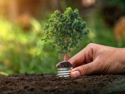 Traduire pour l’environnement