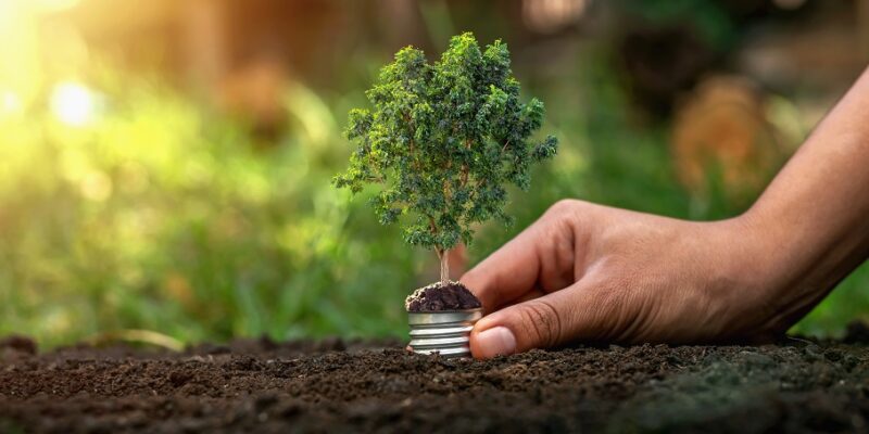 Traduction dans le domaine de l'environnement et du développement durable