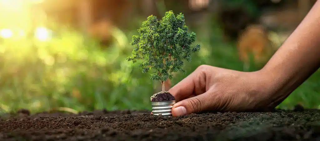 Traduction et terminologie de l'environnement