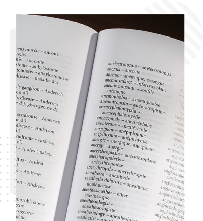 traduction et terminologie