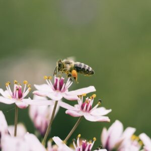 Le développement durable, thème phare de l’été 2022